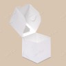 Коробка для капкейка, 100x100x100мм, на 1 капкейк, целлюлозный картон, белый с односторонним мелованным покрытием, окно сверху, премиум